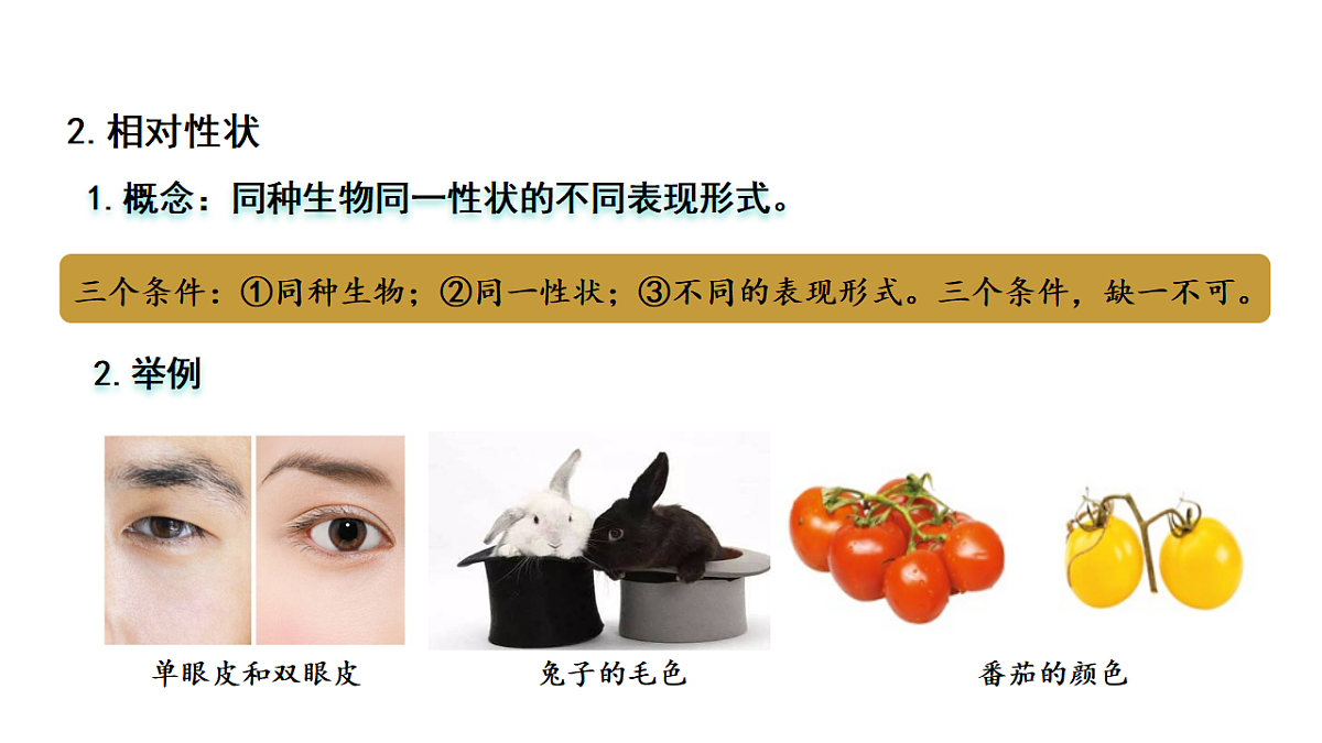18313389第8页