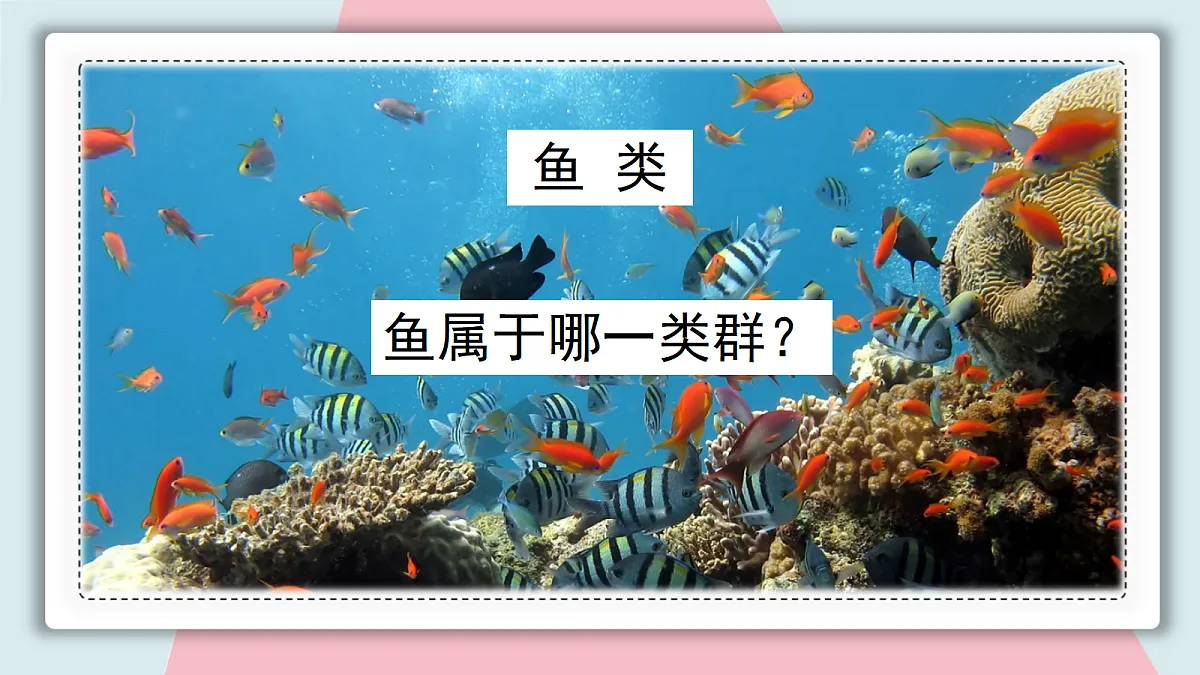 18313397第3页