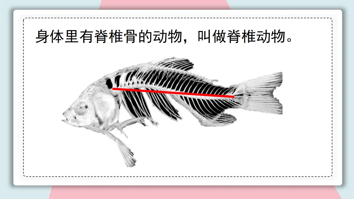 18313397第4页