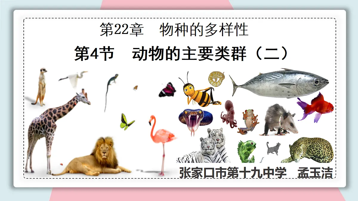 18313397第5页