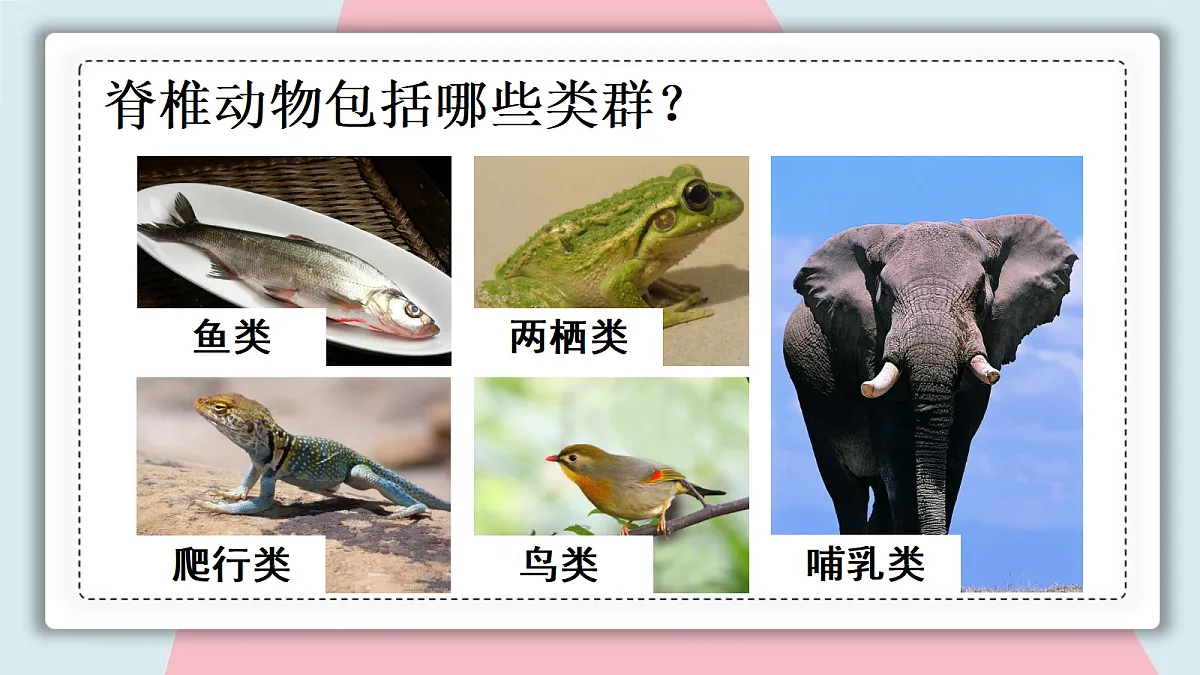 18313397第6页