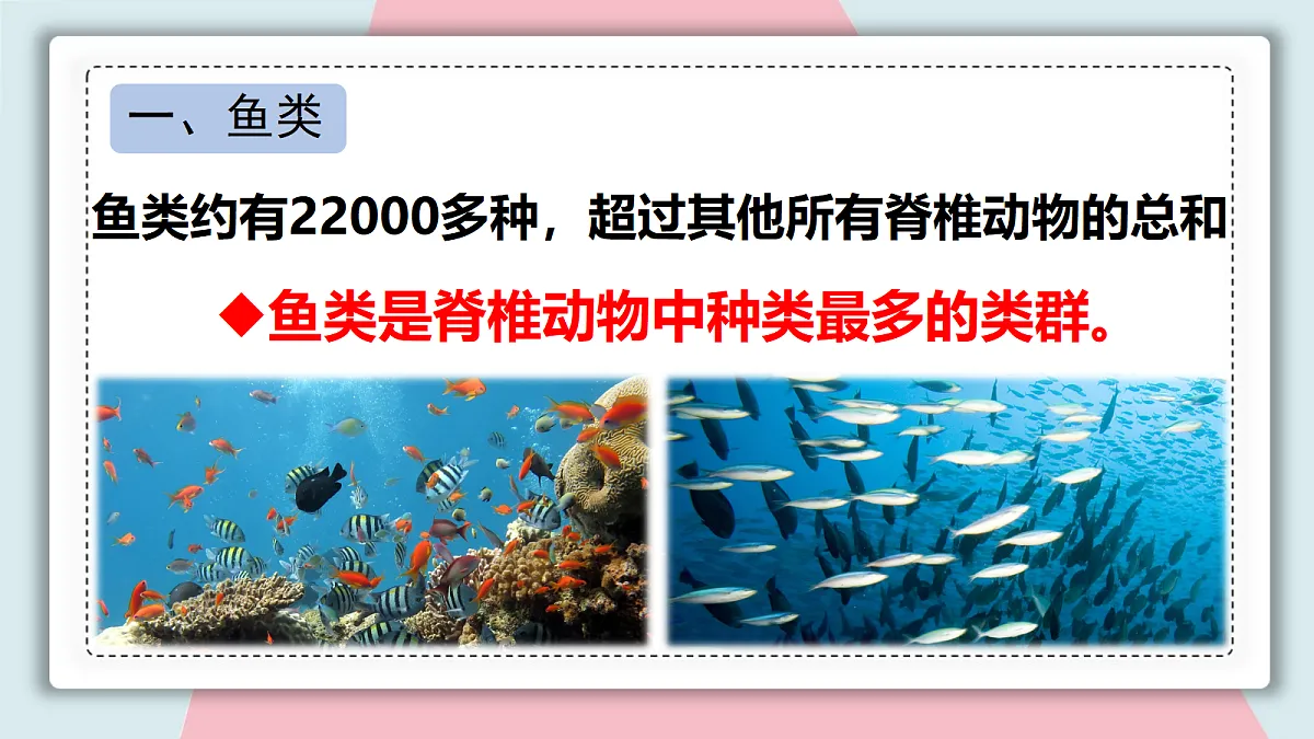 18313397第7页