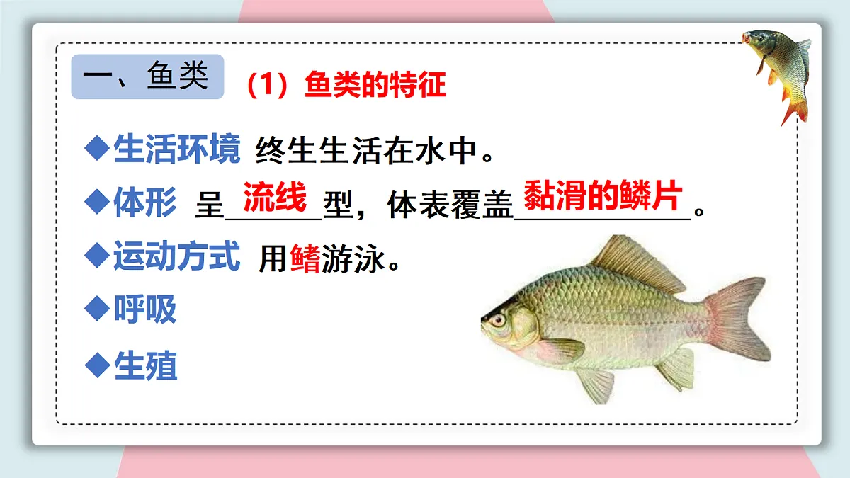 18313397第8页