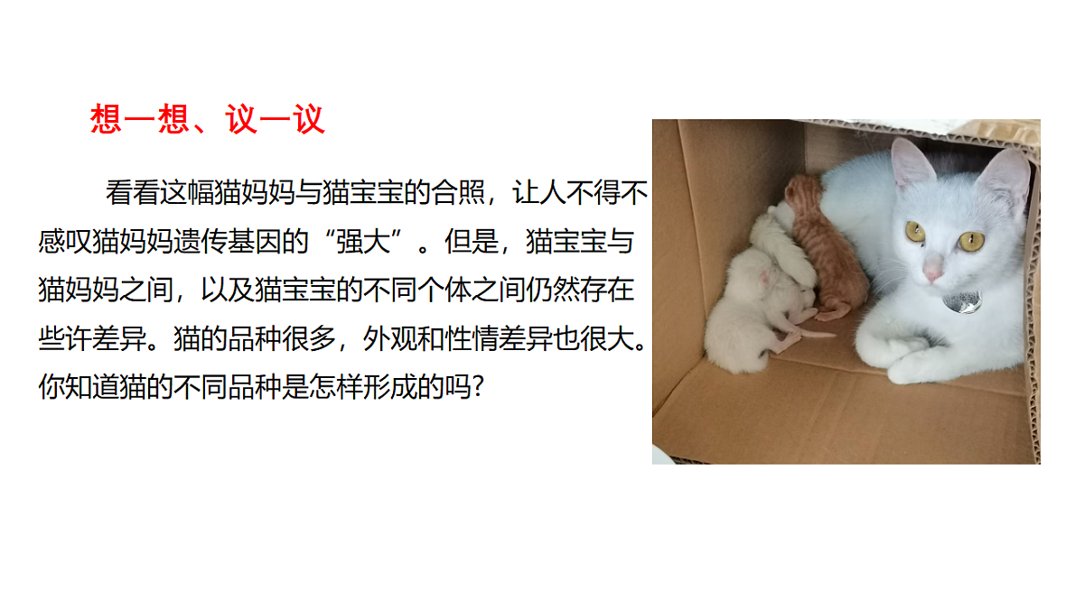 18313400第2页