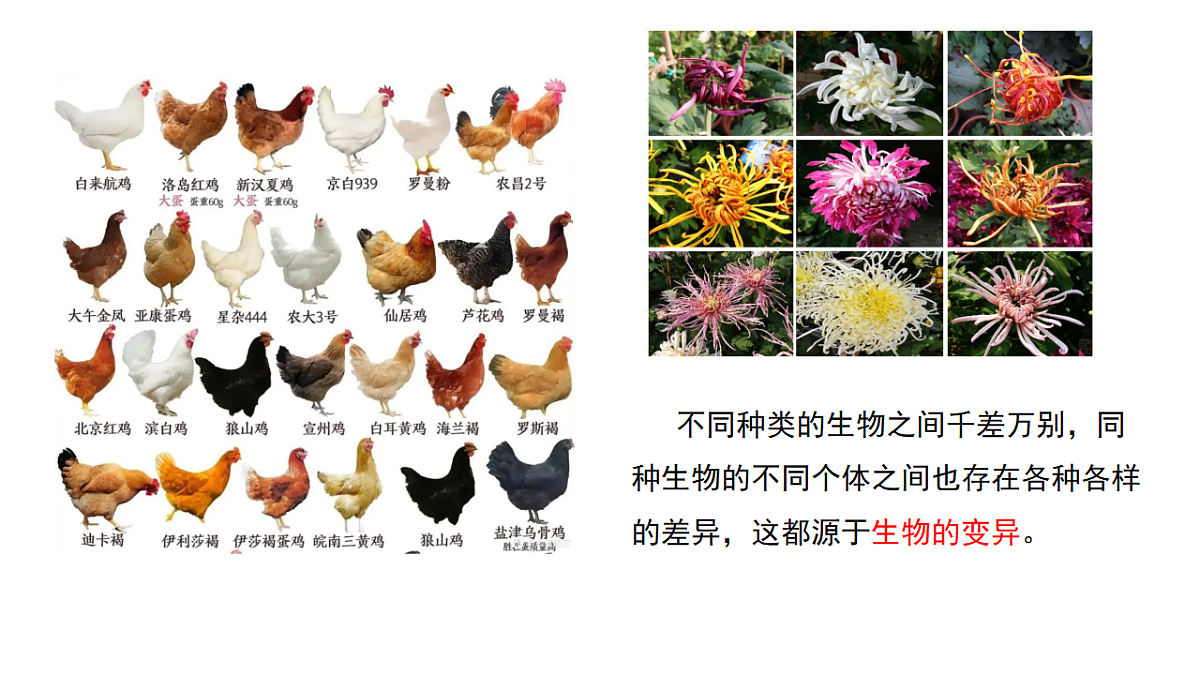 18313400第3页