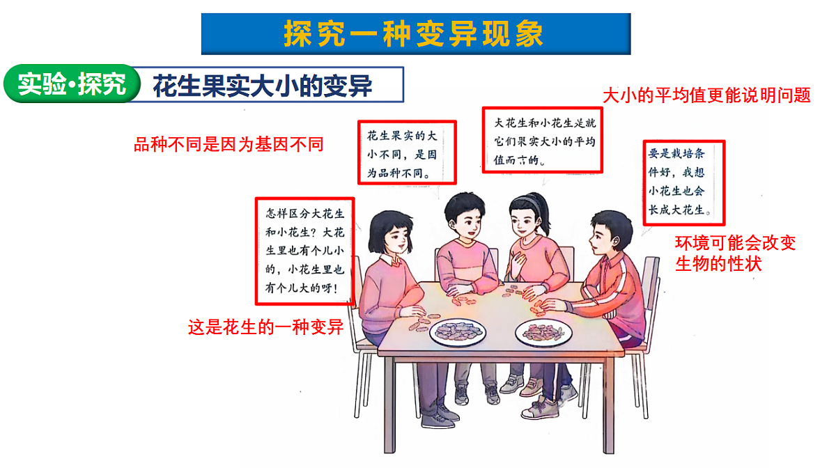 18313400第4页