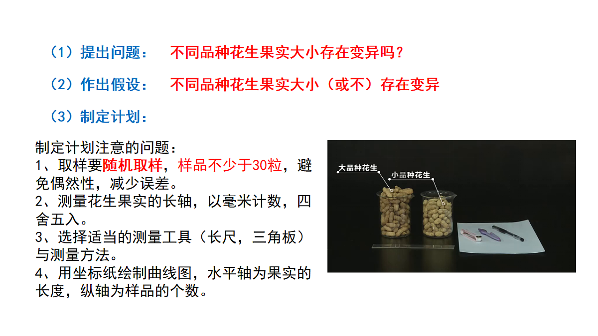 18313400第5页
