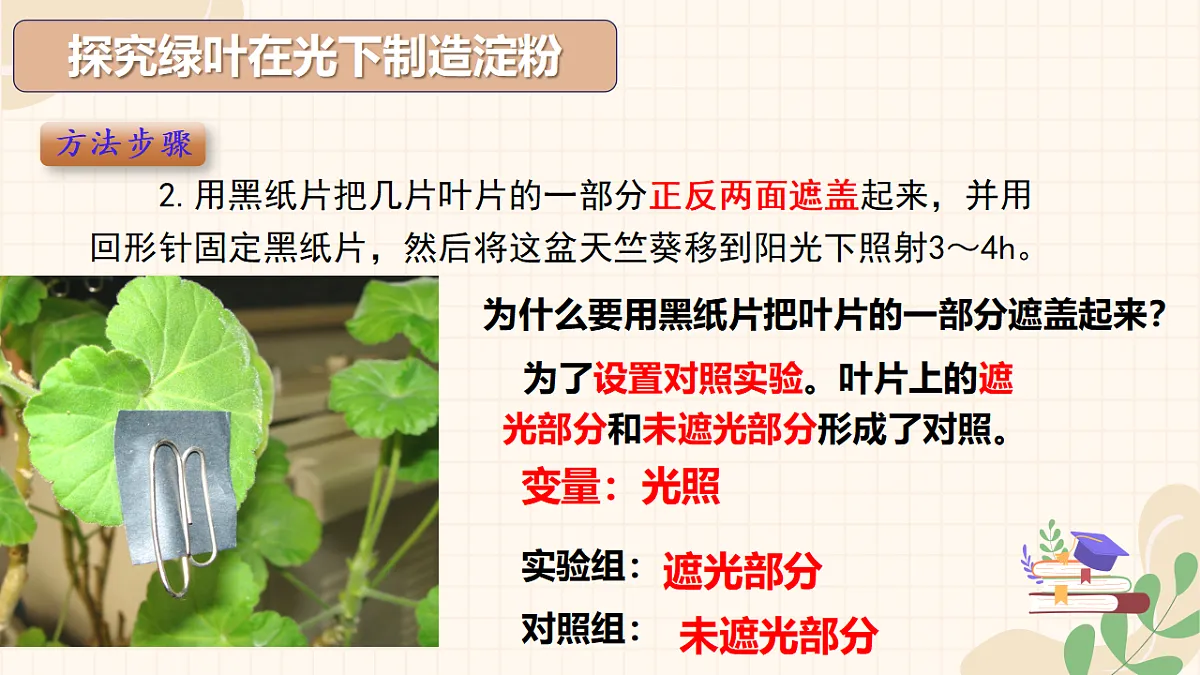 18313404第5页