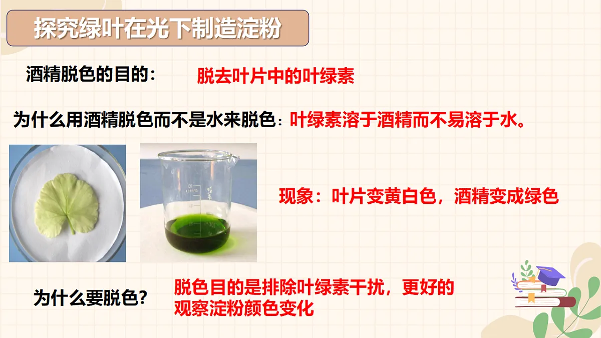 18313404第7页
