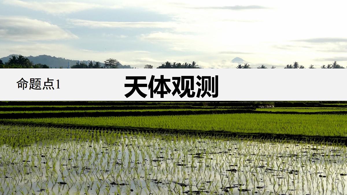 18313416第4页