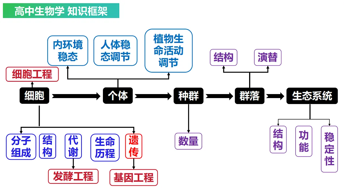 18313440第1页