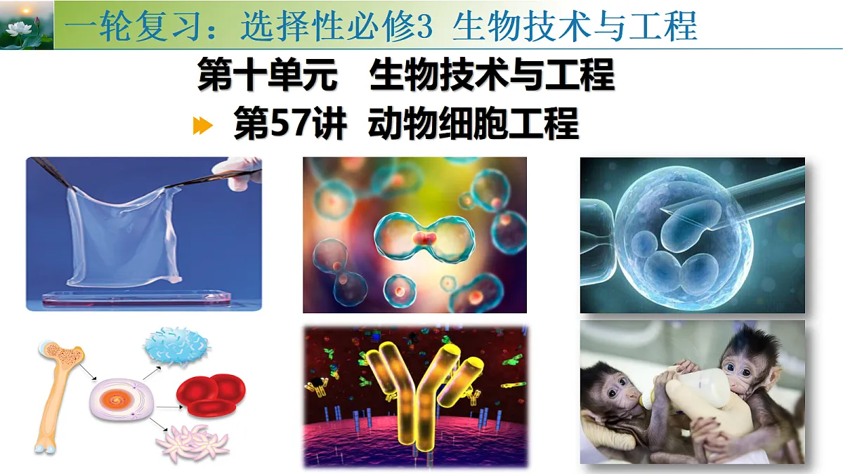 18313444第1页