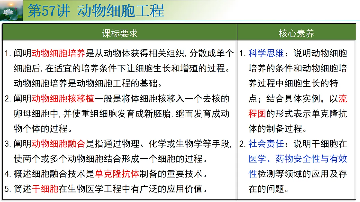 18313444第3页