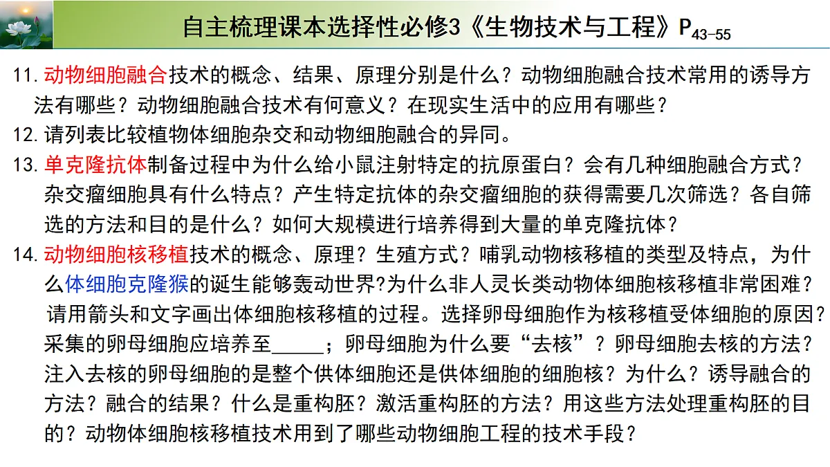 18313444第5页