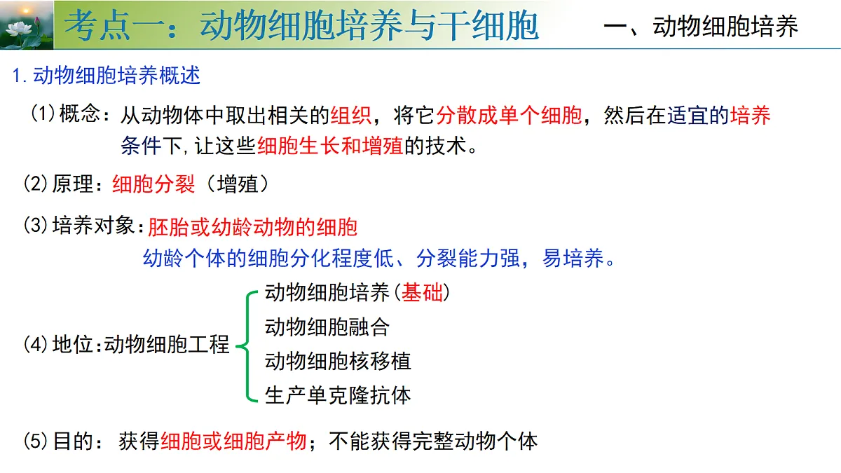 18313444第8页