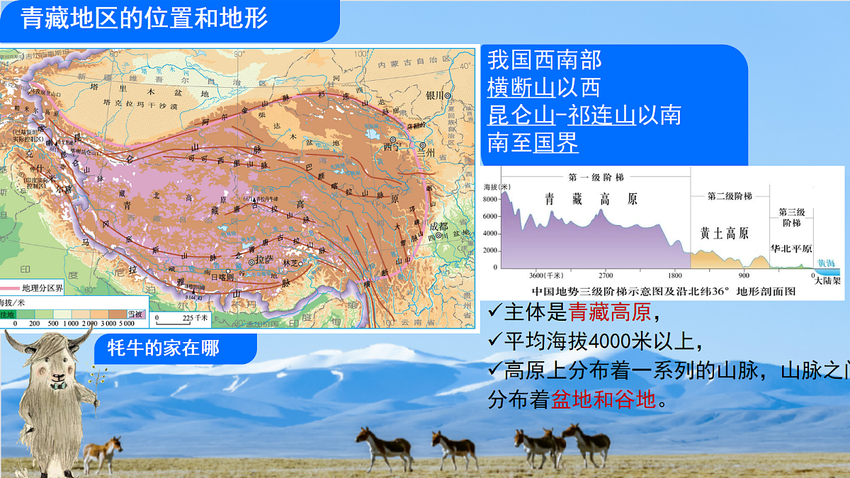 18313461第2页
