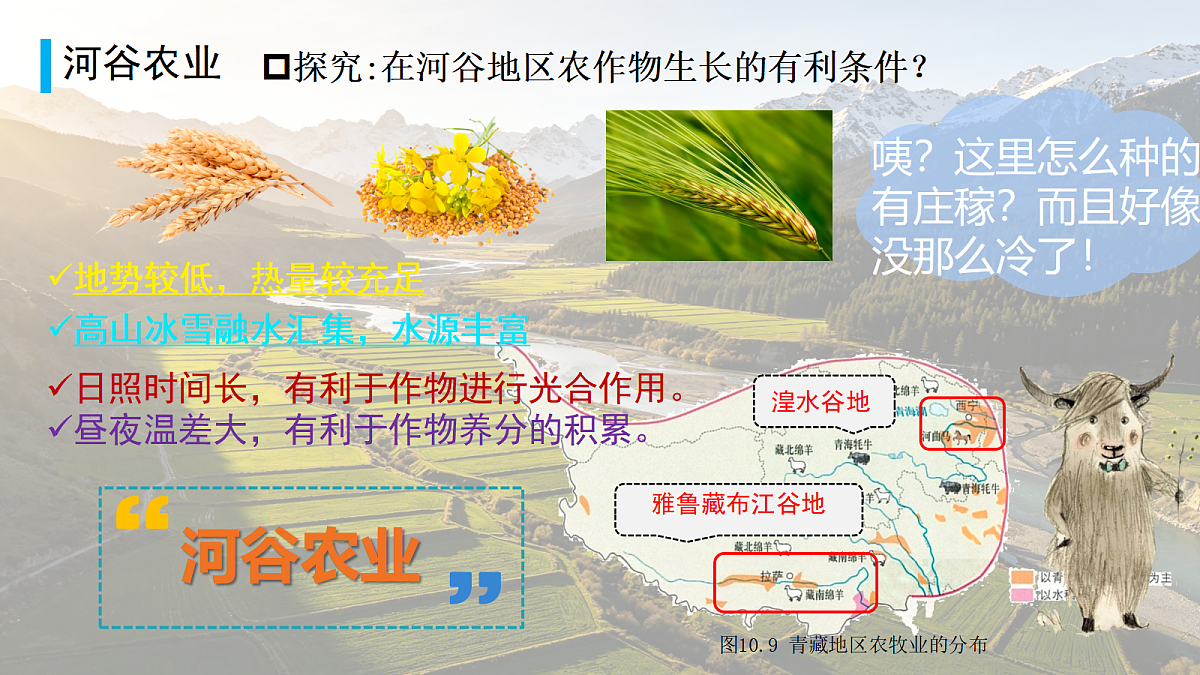18313461第7页