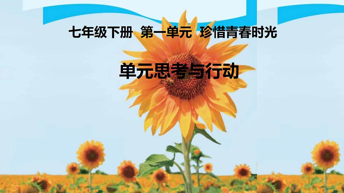 18318195第1页