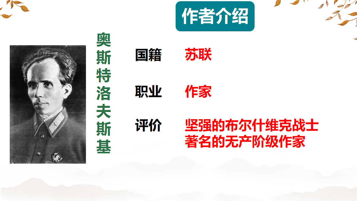 18318236第3页