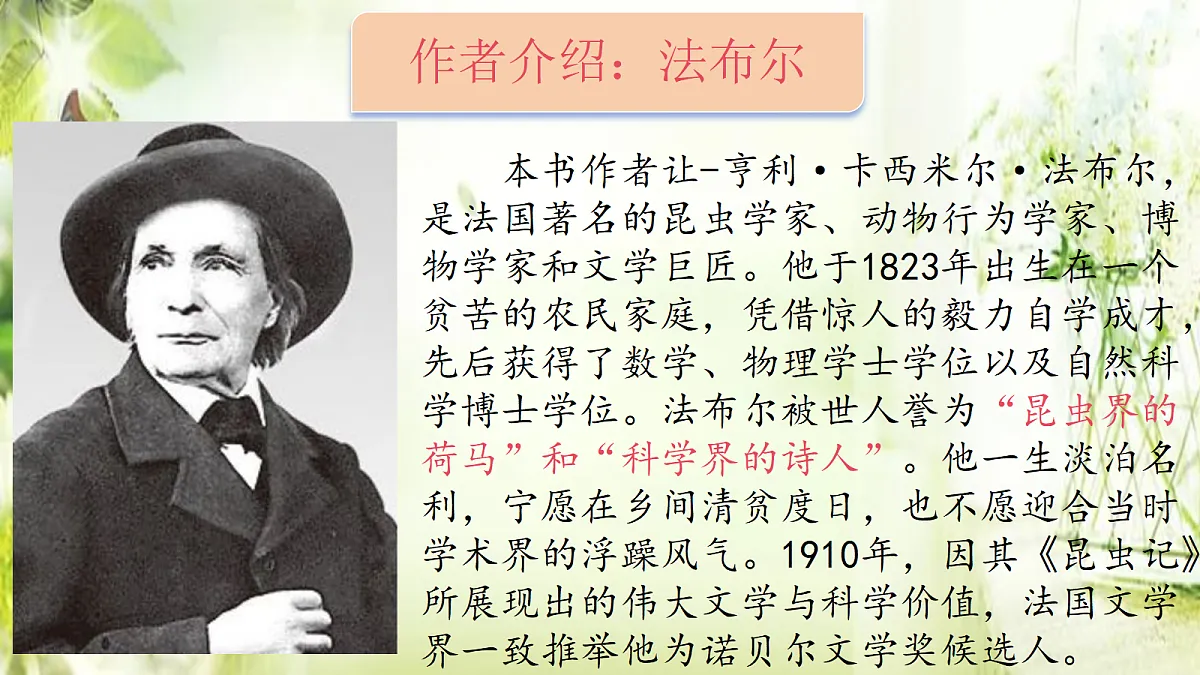18318680第2页