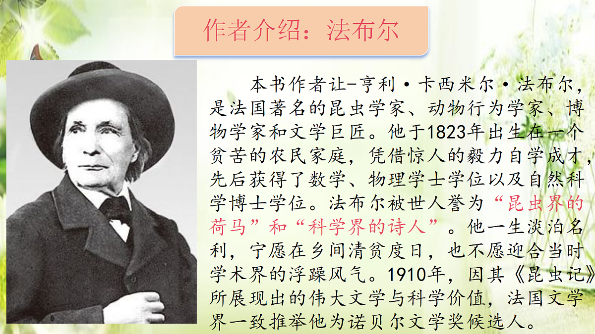 18318680第2页