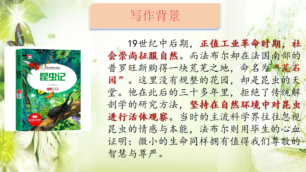 18318680第3页