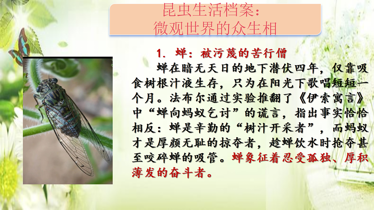 18318680第5页