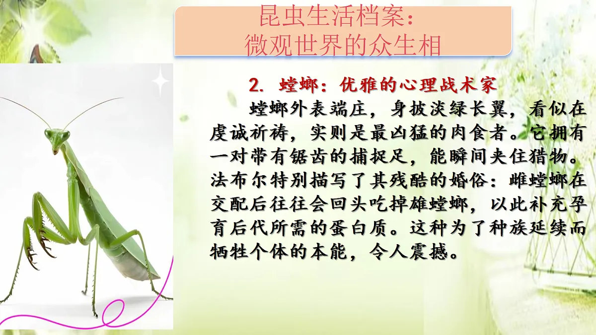 18318680第6页