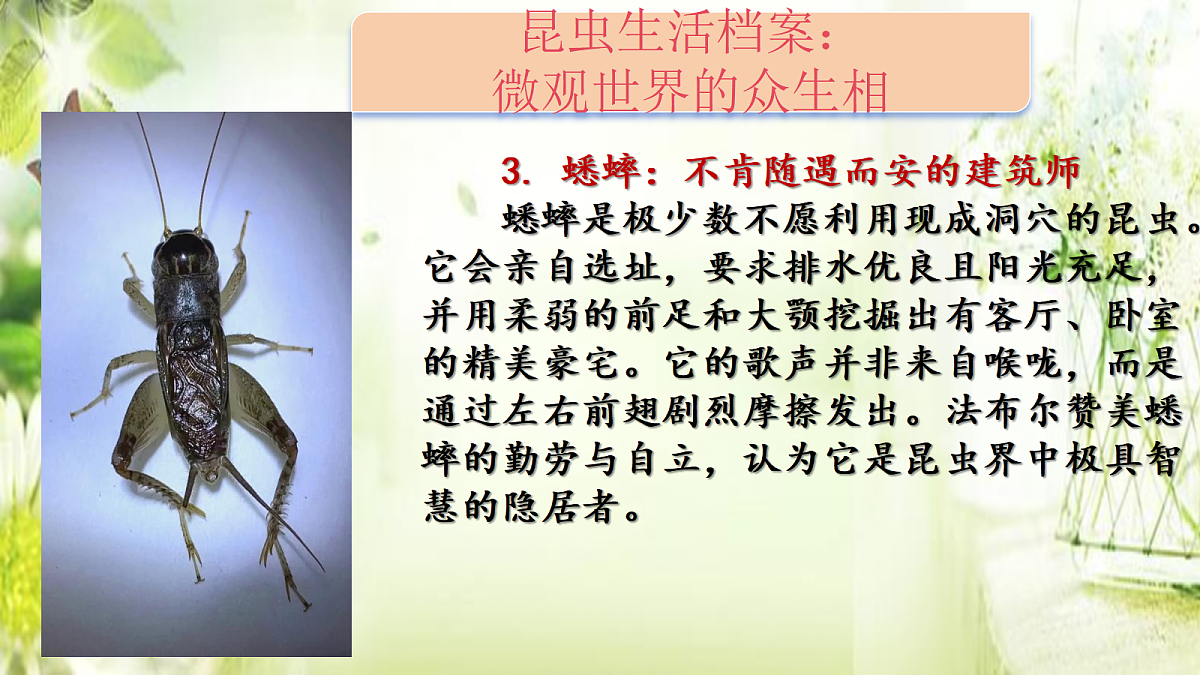 18318680第7页