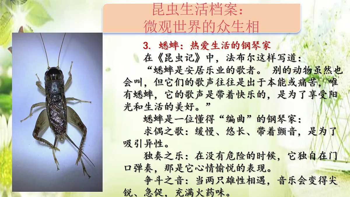 18318680第8页
