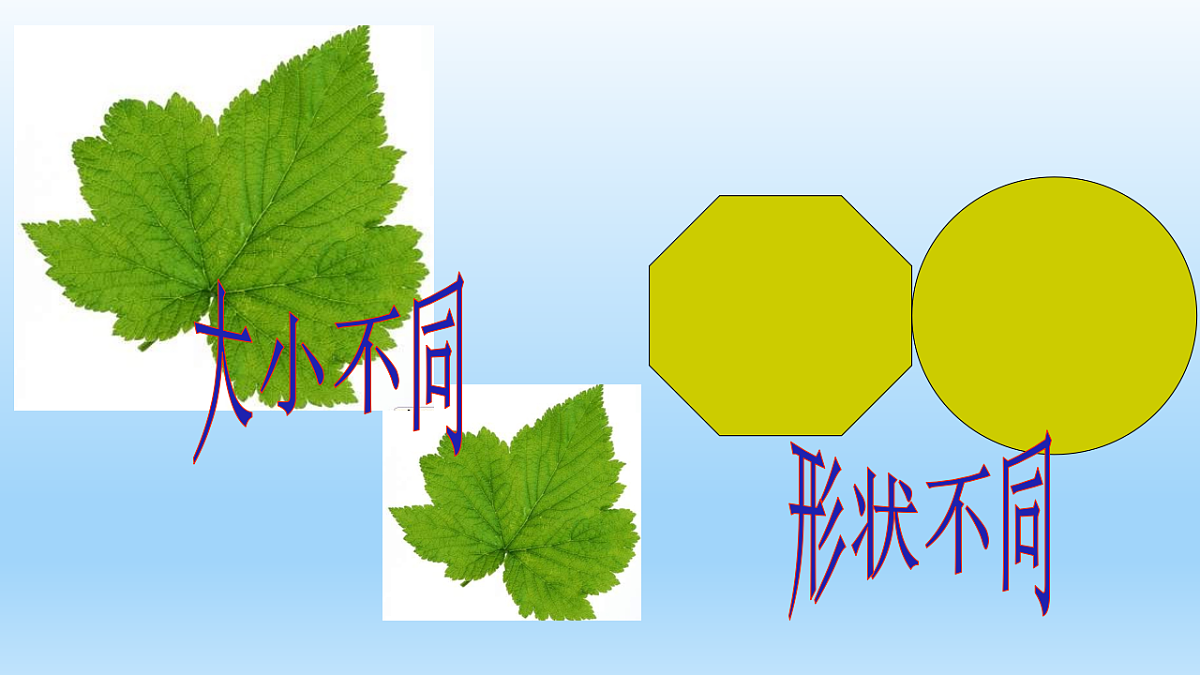 18321647第4页