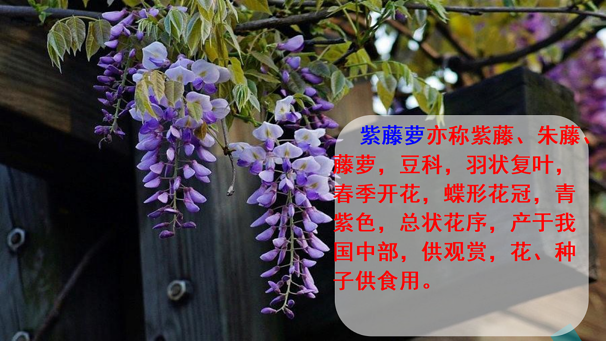 18322072第5页
