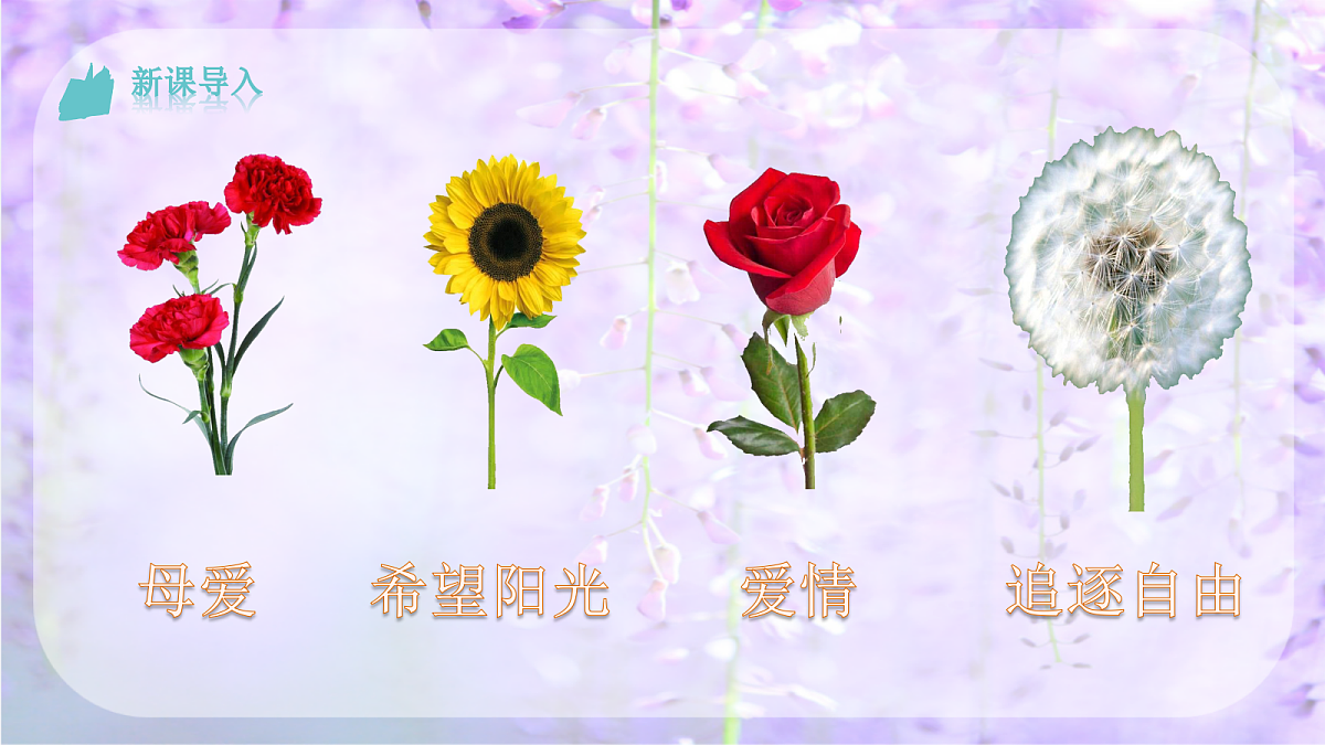 18322072第6页
