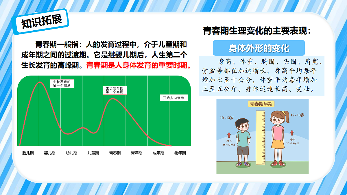 18324174第7页