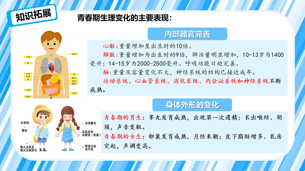 18324174第8页