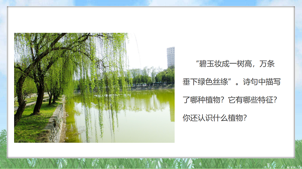 18324223第3页