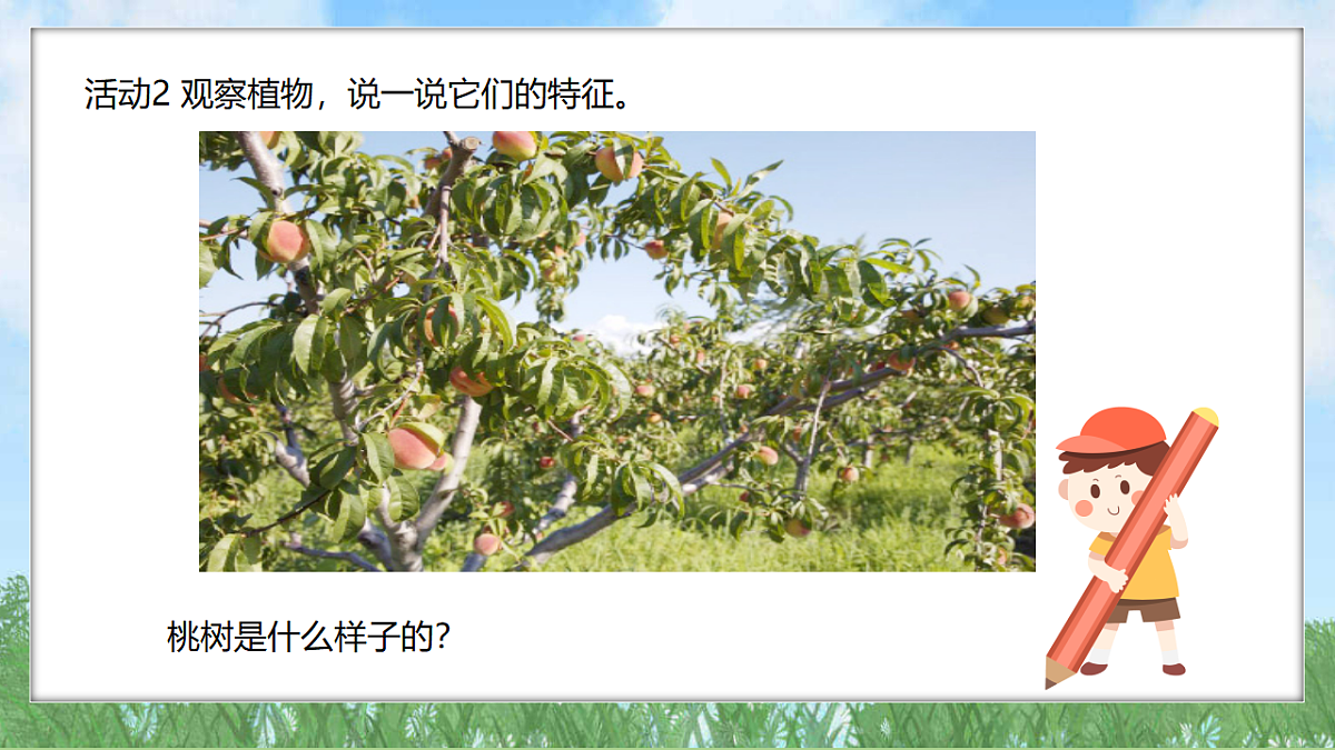 18324223第5页