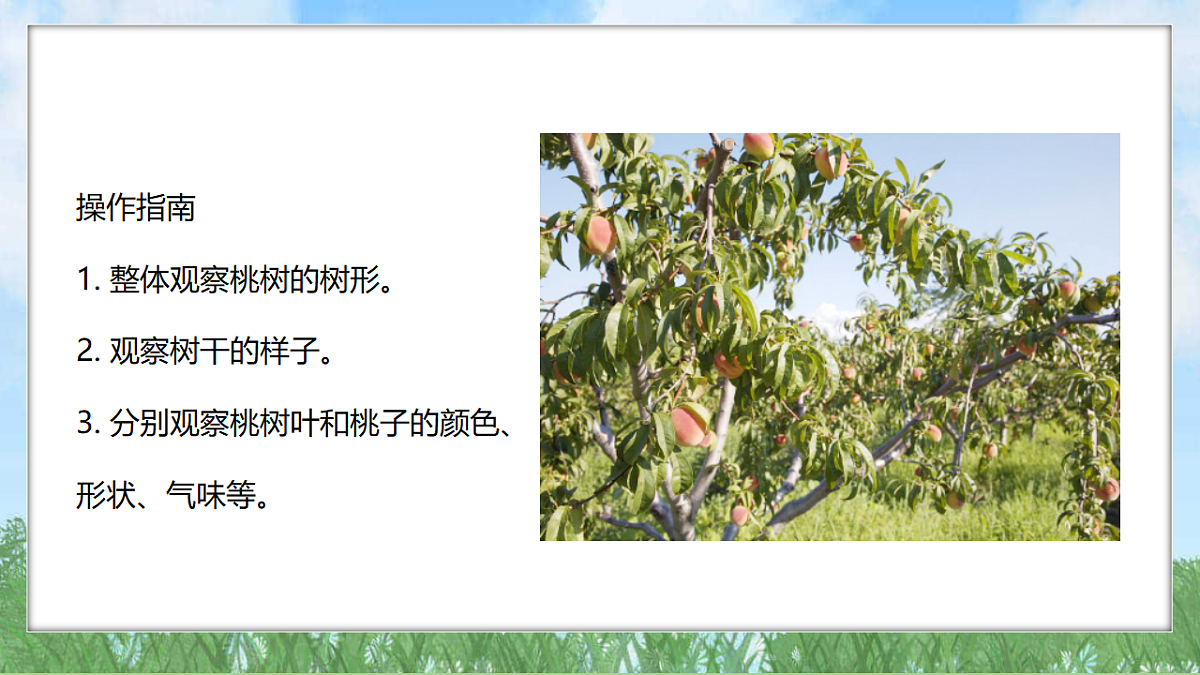 18324223第6页