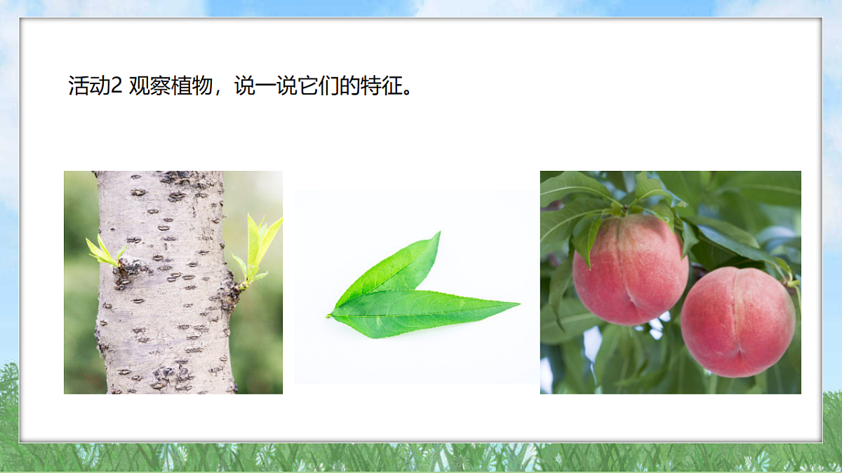 18324223第7页