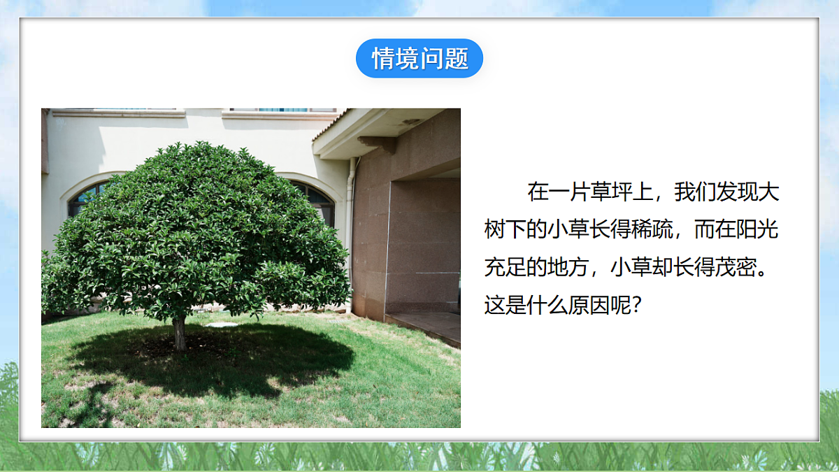 18324225第2页