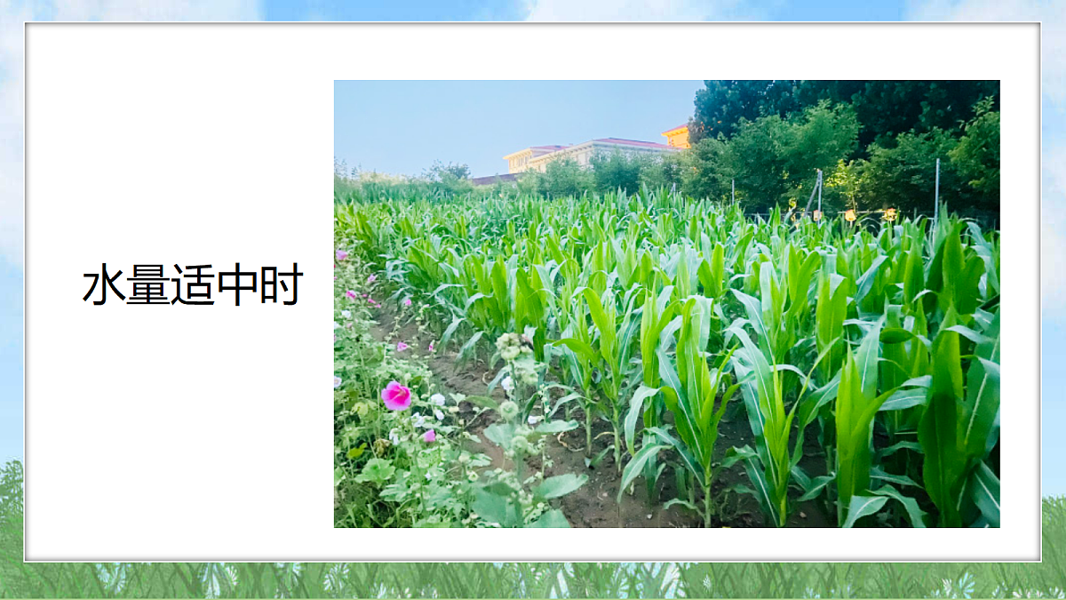 18324226第5页