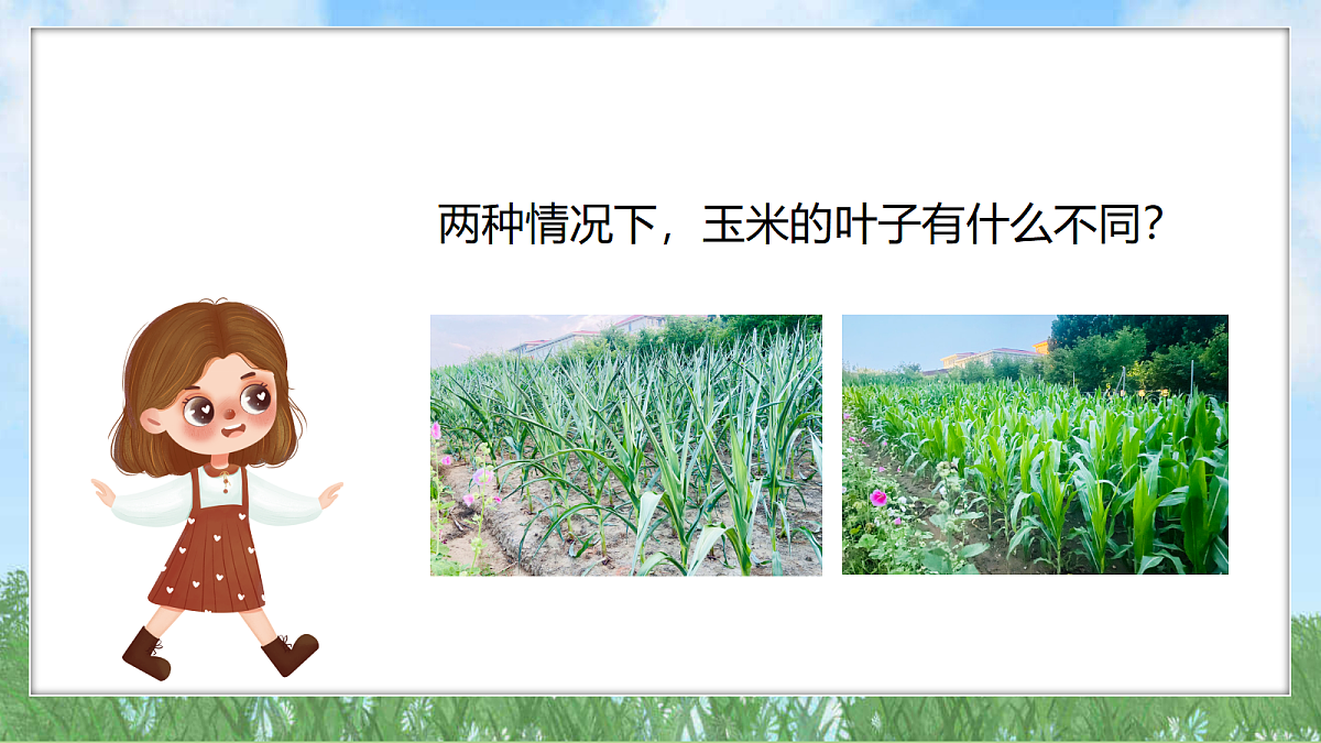 18324226第6页