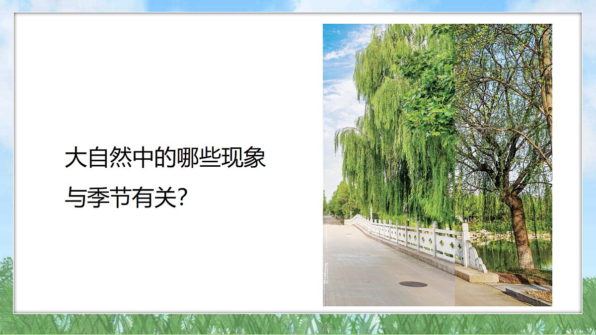 18324228第3页