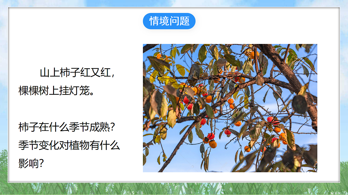 18324229第2页