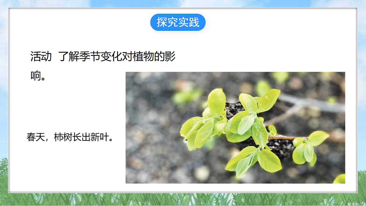 18324229第3页