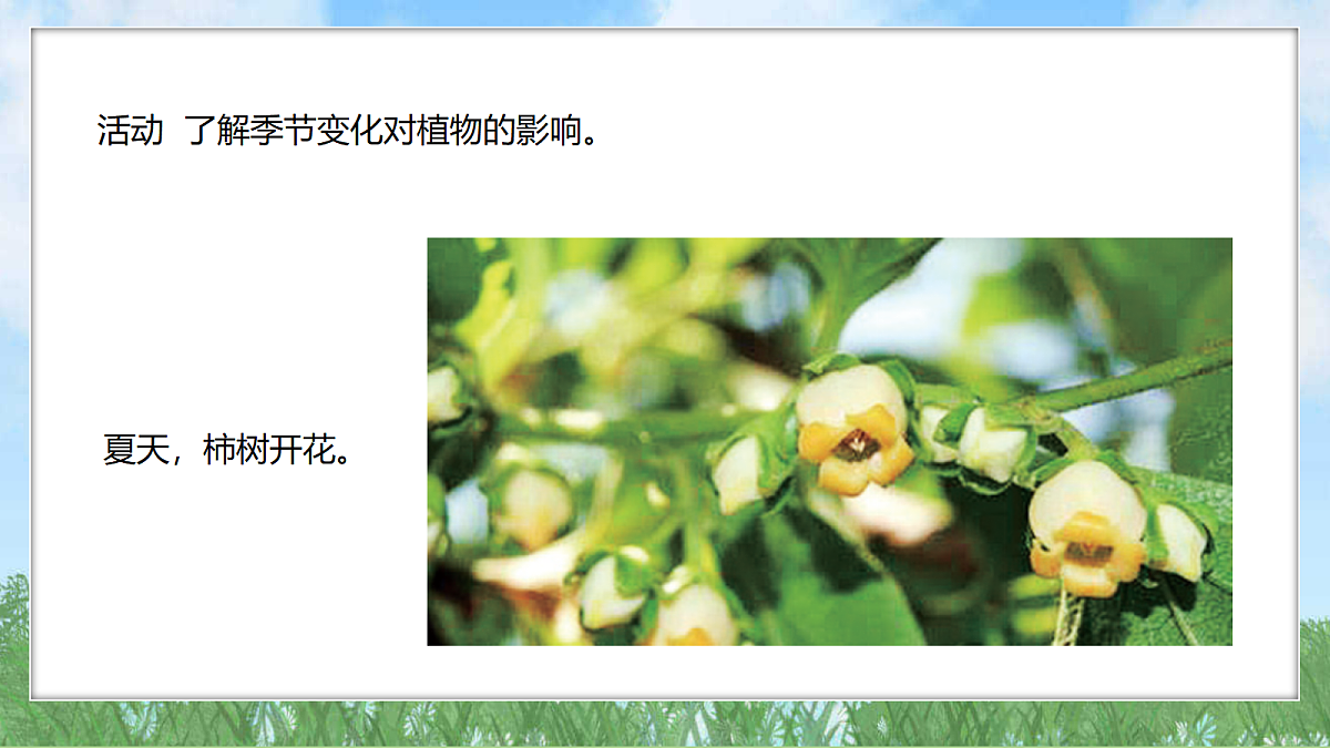 18324229第4页