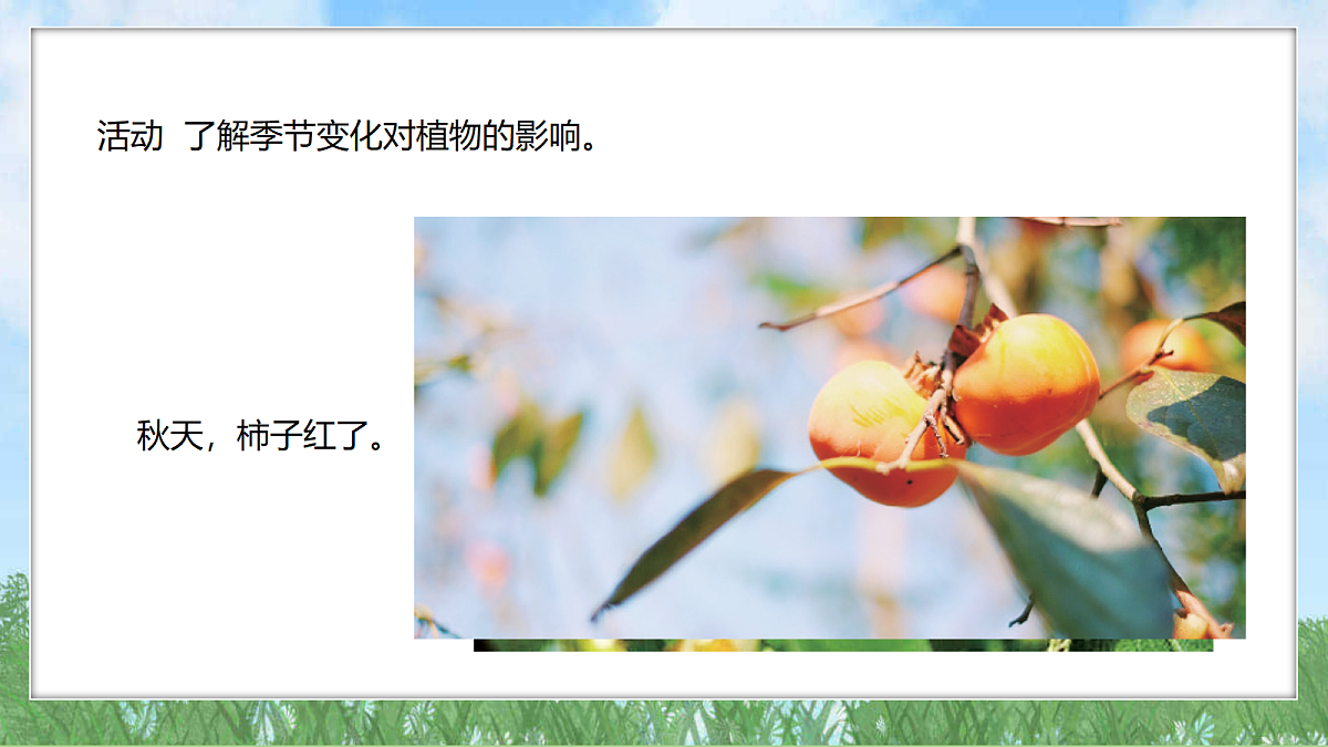 18324229第5页