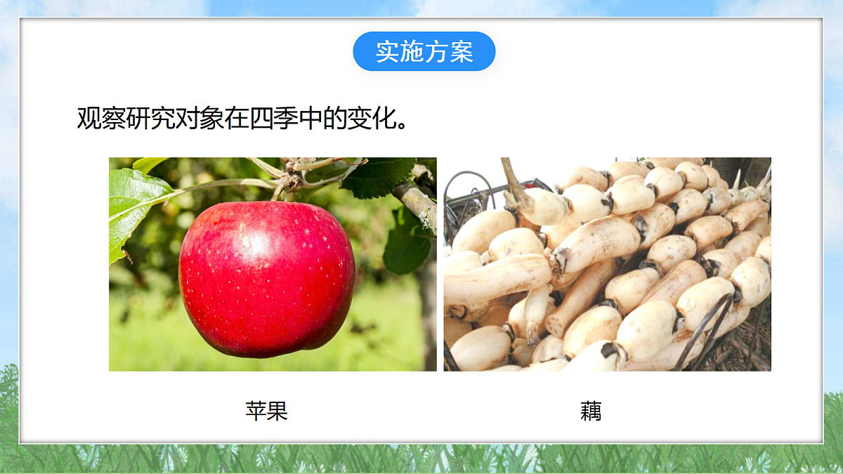18324231第8页