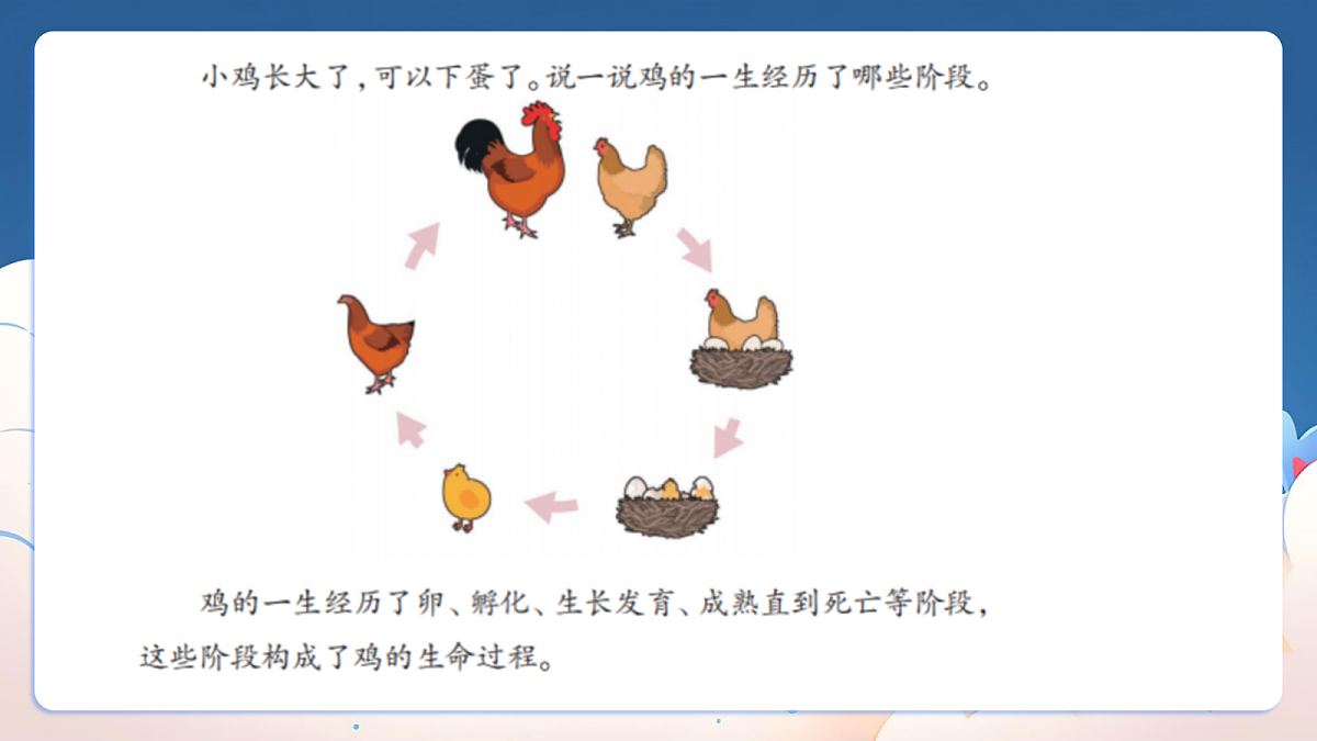 18326051第2页