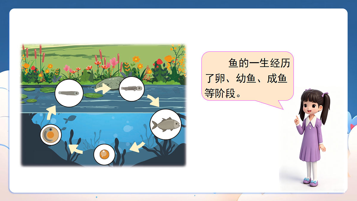 18326051第5页